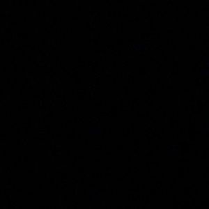 Meet your Posher, Jamel